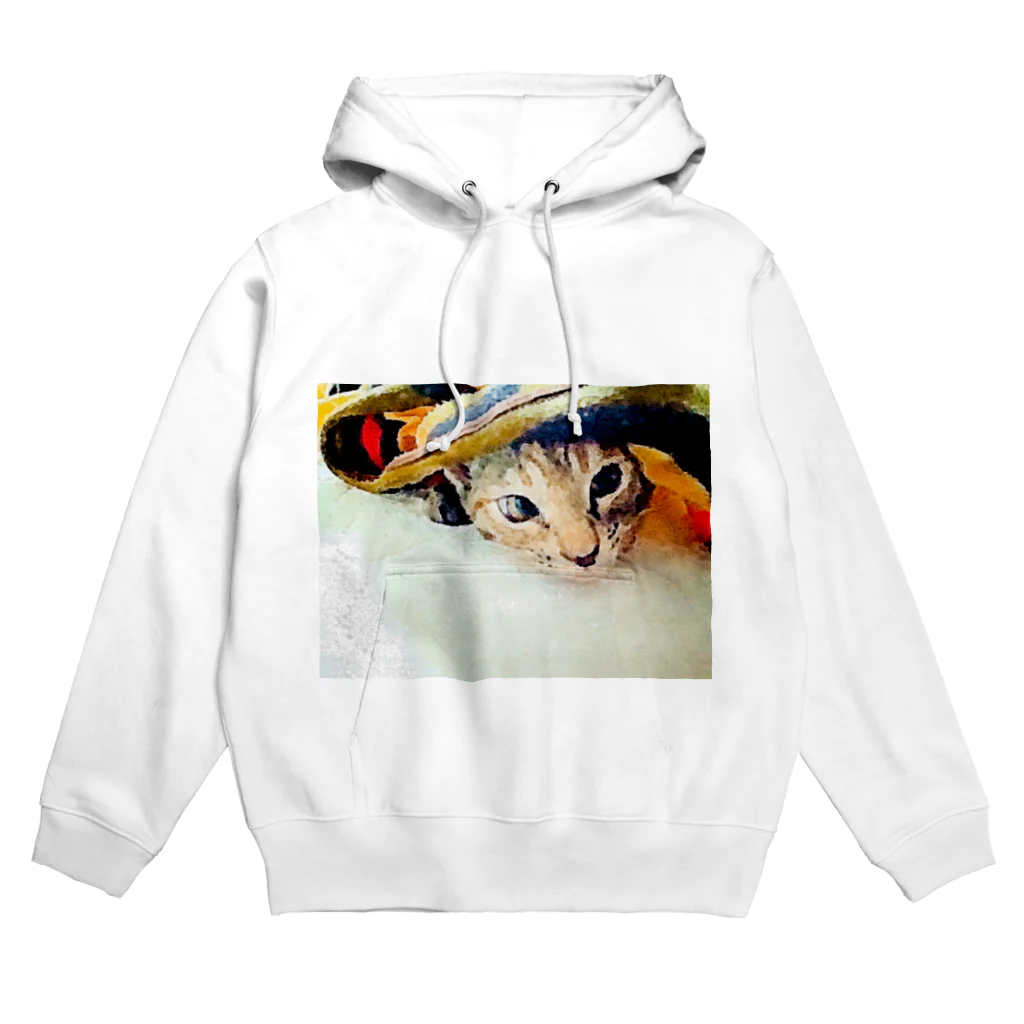 コハクのブランケットからひょっこりニャンコ🐱 Hoodie