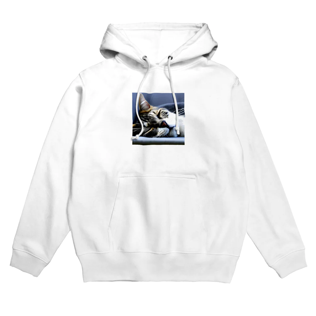 HYUGOの寝顔ドアップのキュートな猫 Hoodie