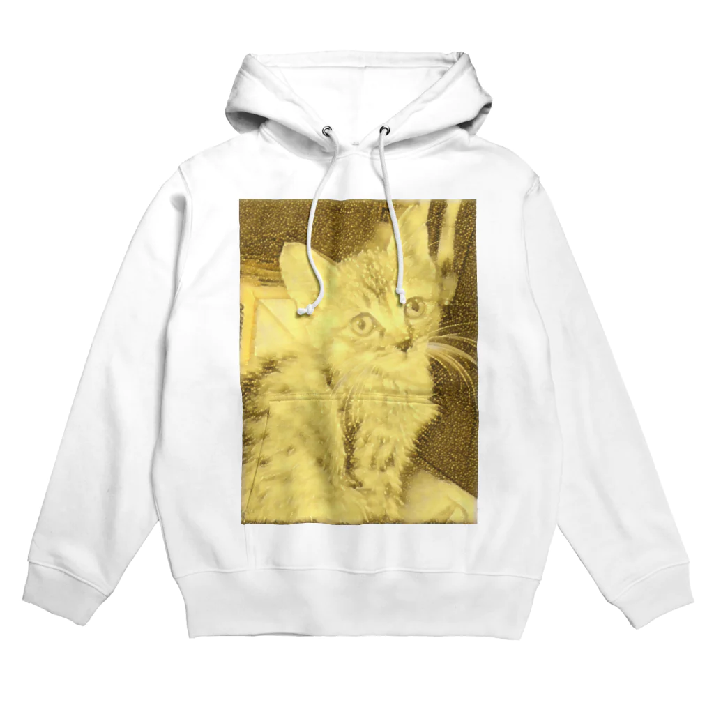 金色猫のキラキラネコ Hoodie