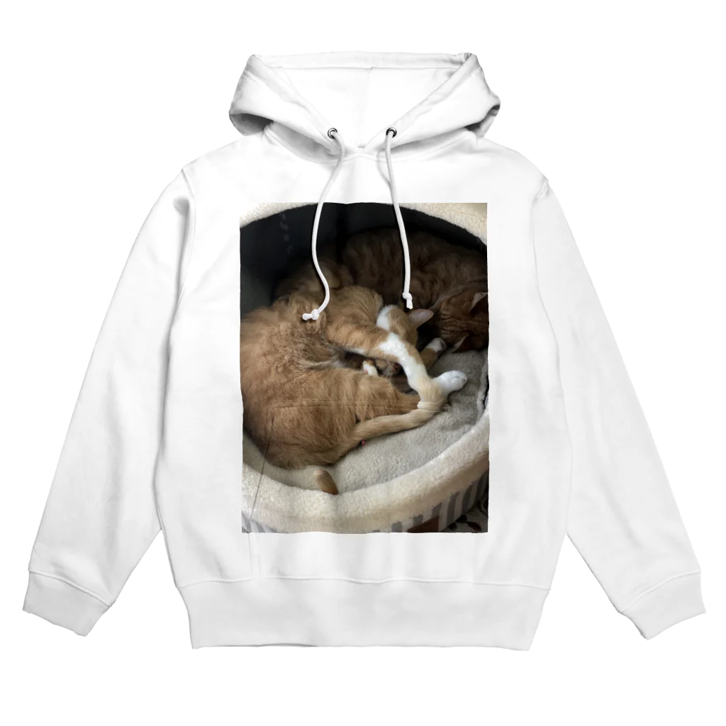 ノラ猫のウチのノラネコ兄弟 Hoodie