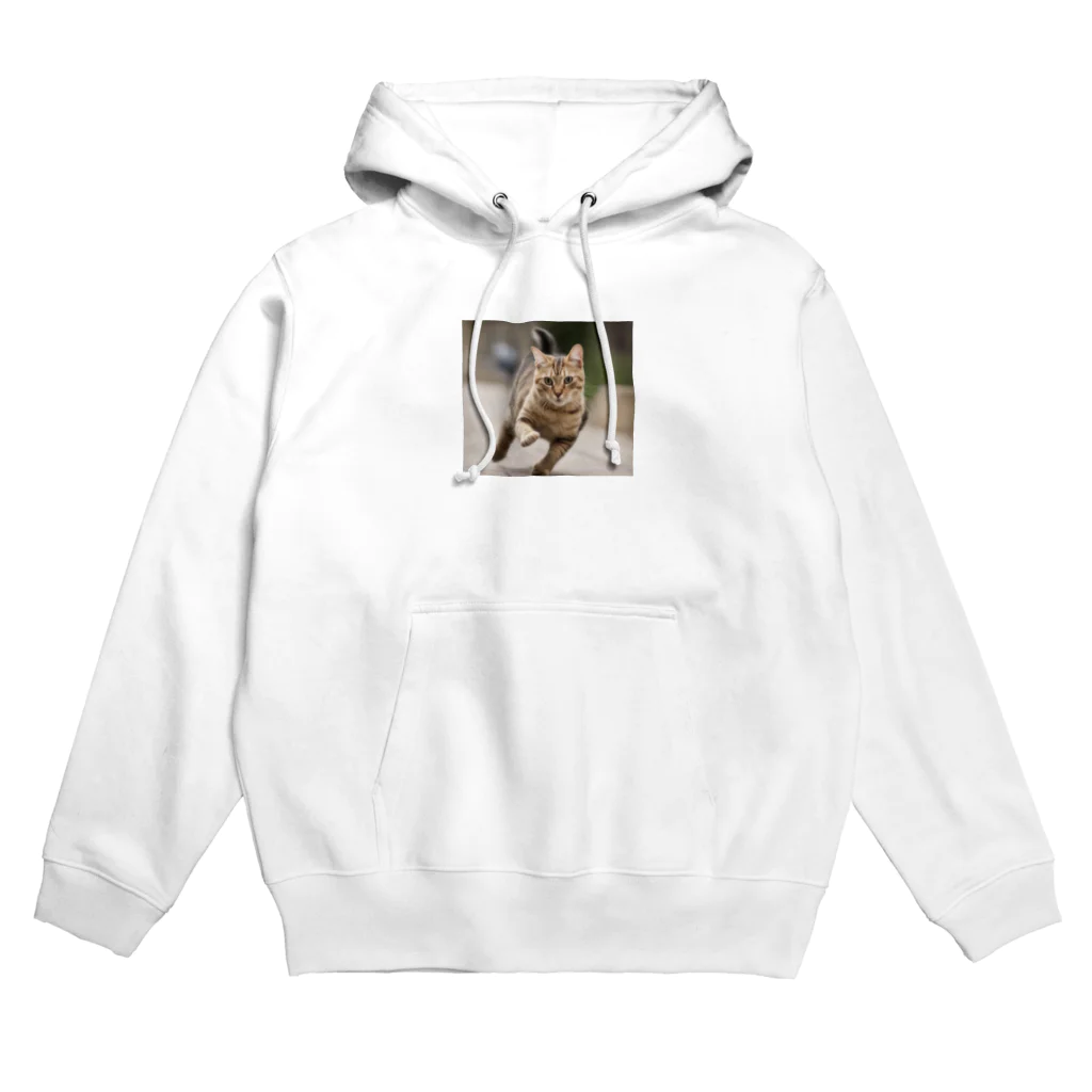 TAIYO 猫好きの猫の追い風 Hoodie