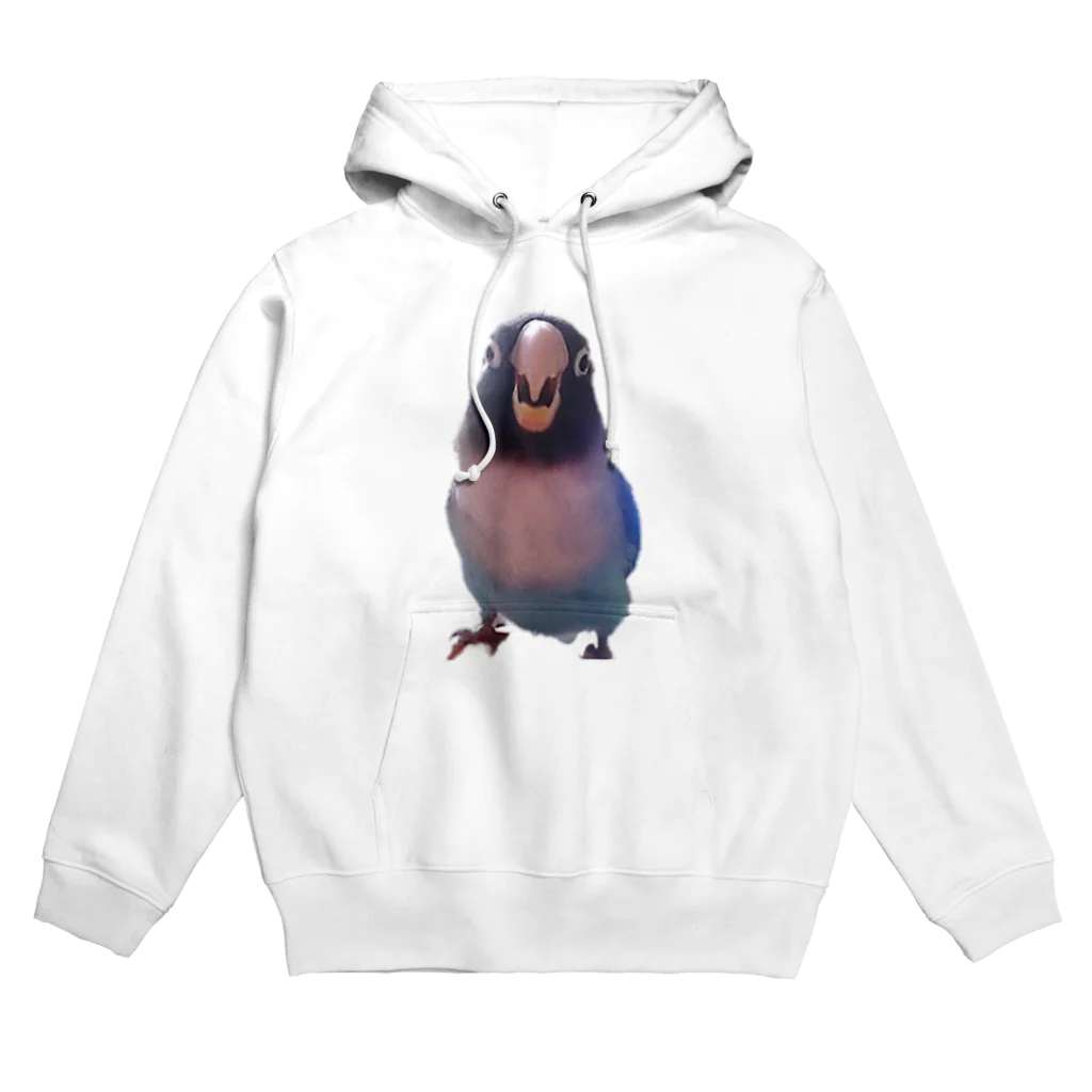 天然極楽鳥の怒りのねぎちゃん Hoodie