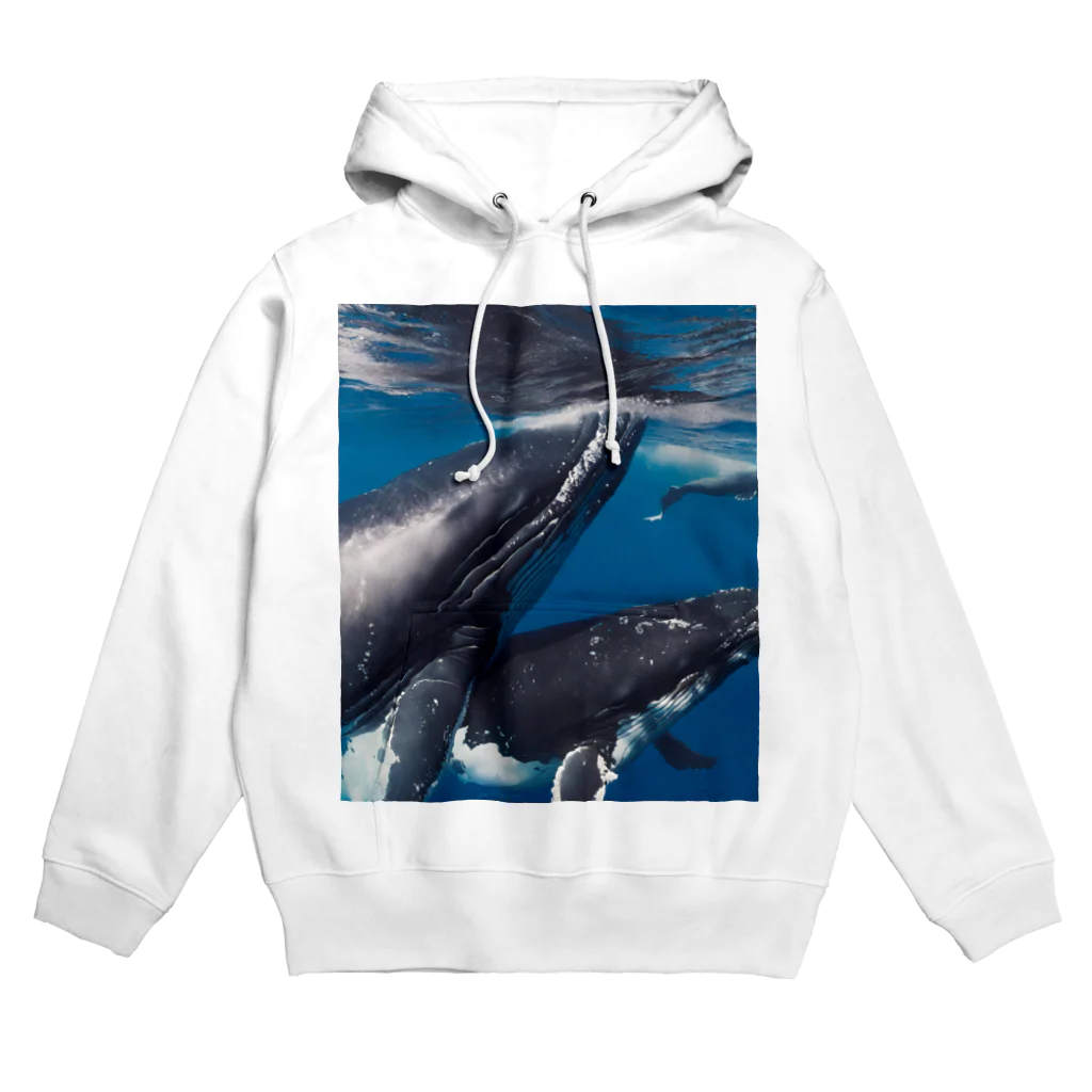 Fasterのシロナガスクジラ　親子 Hoodie