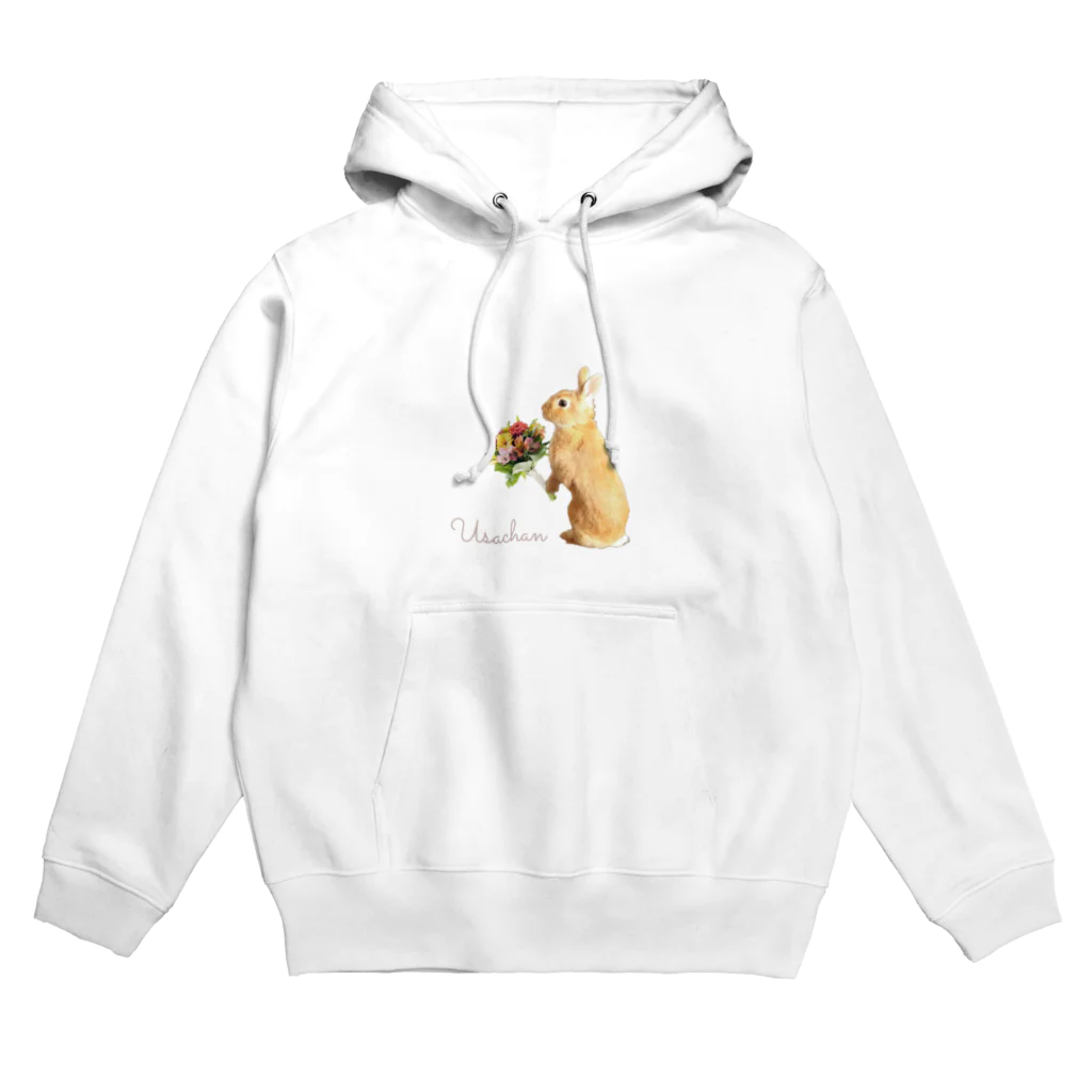 うさぎのうさちゃんのうさぎのうさちゃん Hoodie