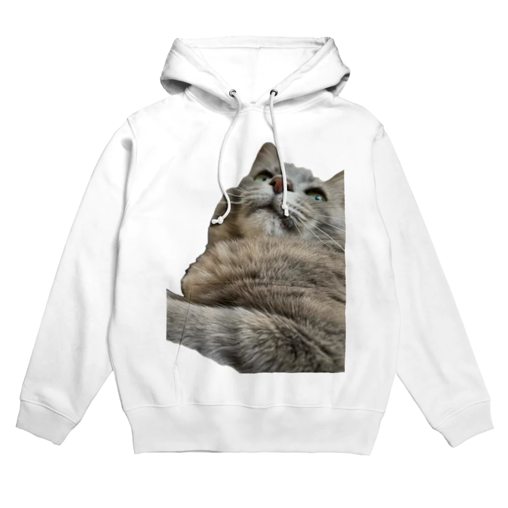 グレージュ猫ロッタン🐈‍⬛のよそ見ロッタン Hoodie