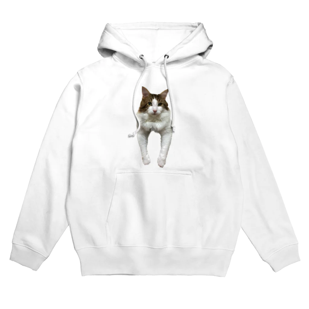 Diamondの猫のダイヤ Hoodie