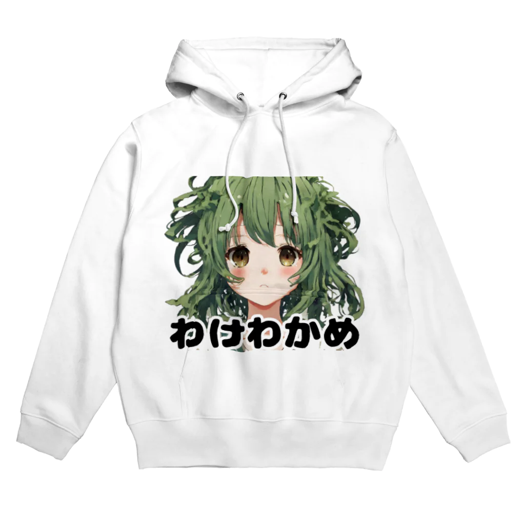 アジンガーのわけわかめ Hoodie