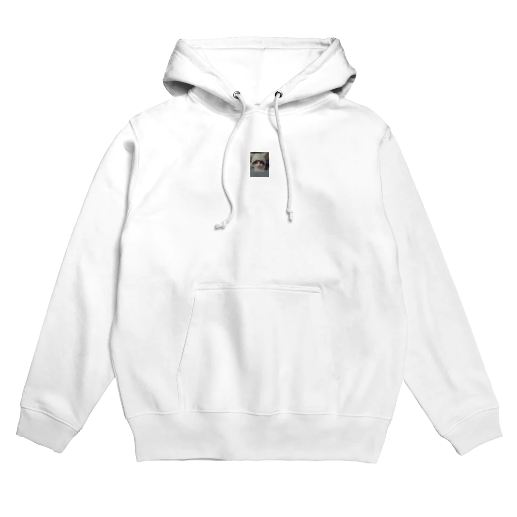 あやのみぃちゃん Hoodie