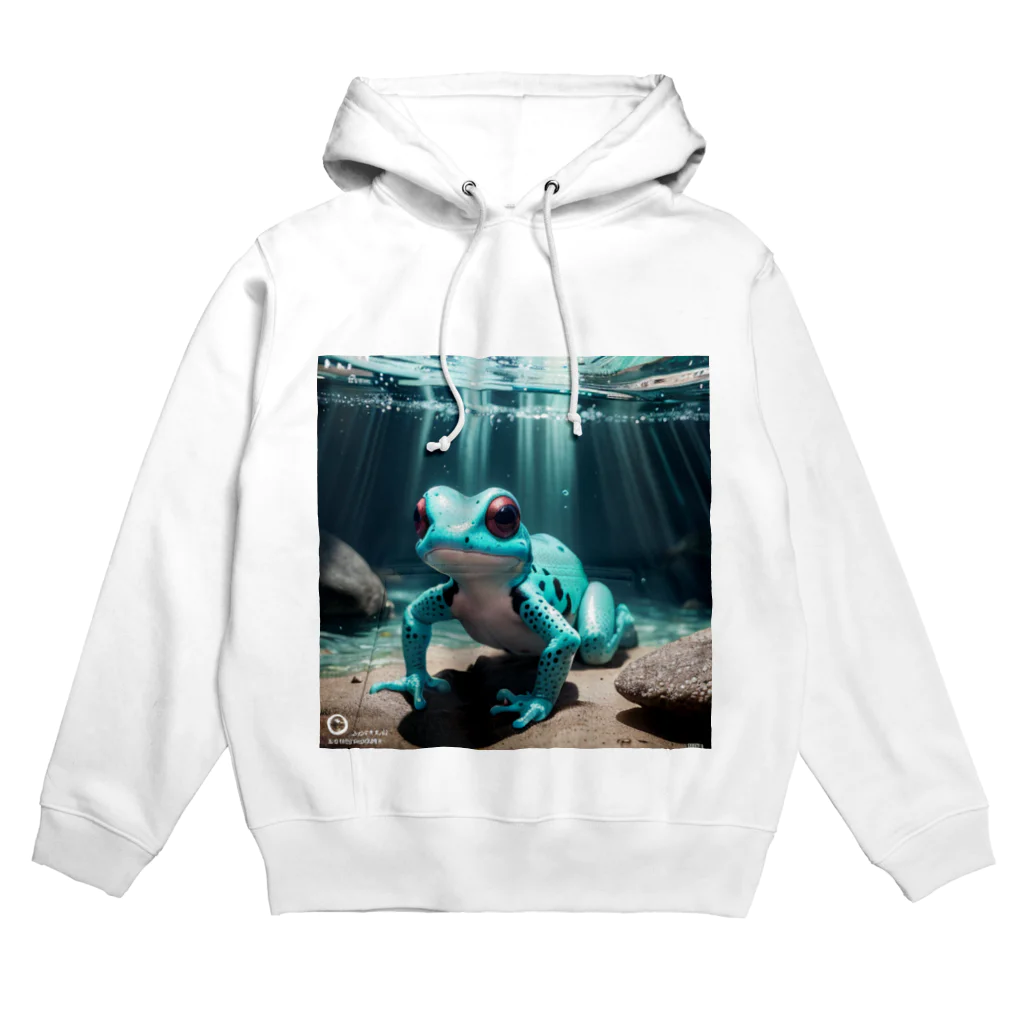 人魚の夢の新種発見ヤドクガエル Hoodie