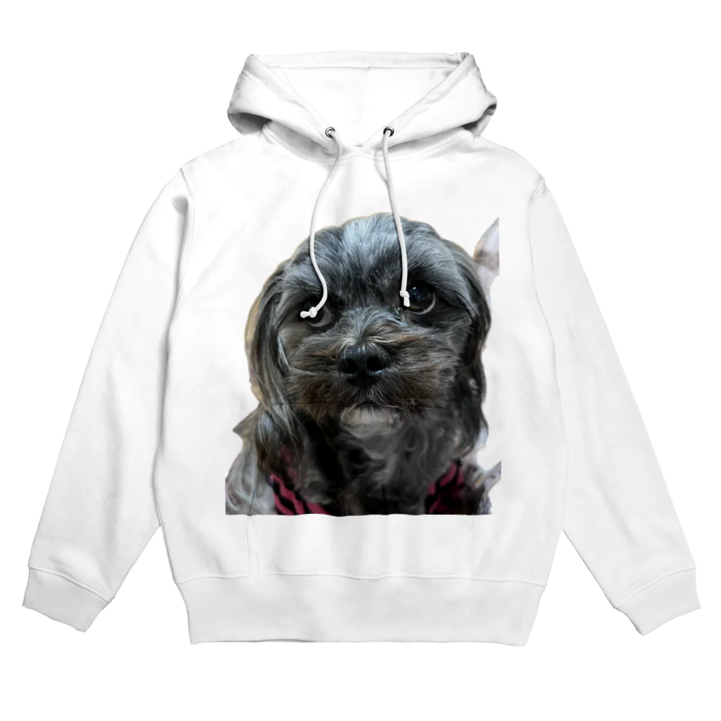 みたらし団子のふたたまちゃんの可愛いわんちゃん Hoodie