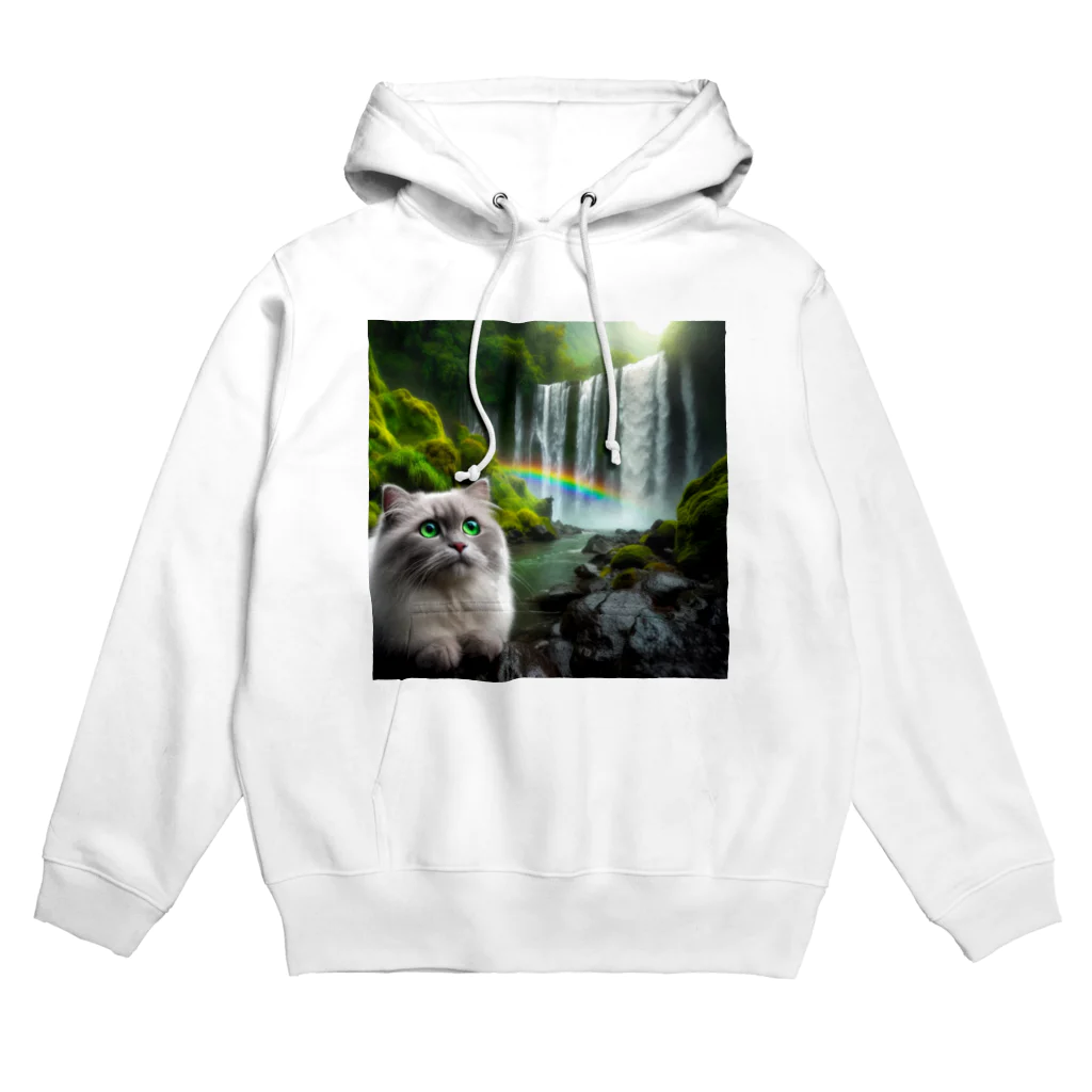 ニャーちゃんショップのレインボーキャット Hoodie