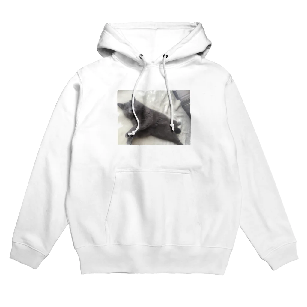 イブショップの股間隠し Hoodie