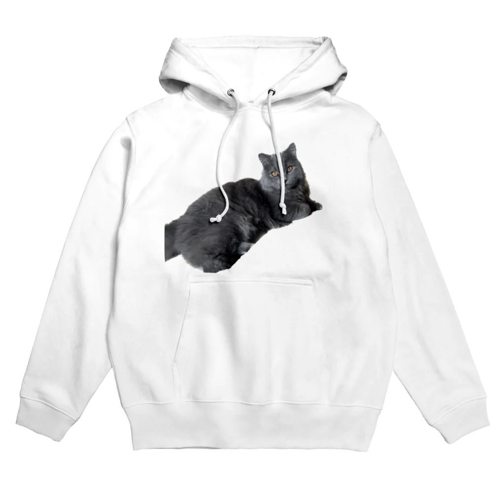 それゆけ！ガブちゃんのそれゆけ！ガブちゃん4 Hoodie