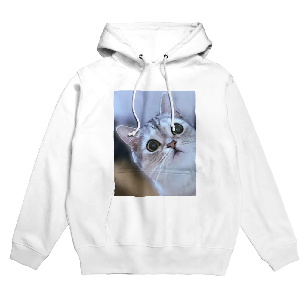 レオロンSHOPの猫の名前はレオ Hoodie