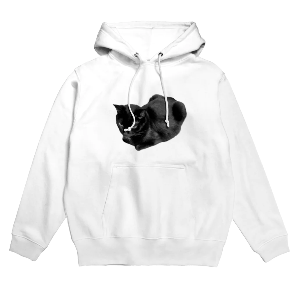 深夜の猫屋さんのはこねこなの Hoodie