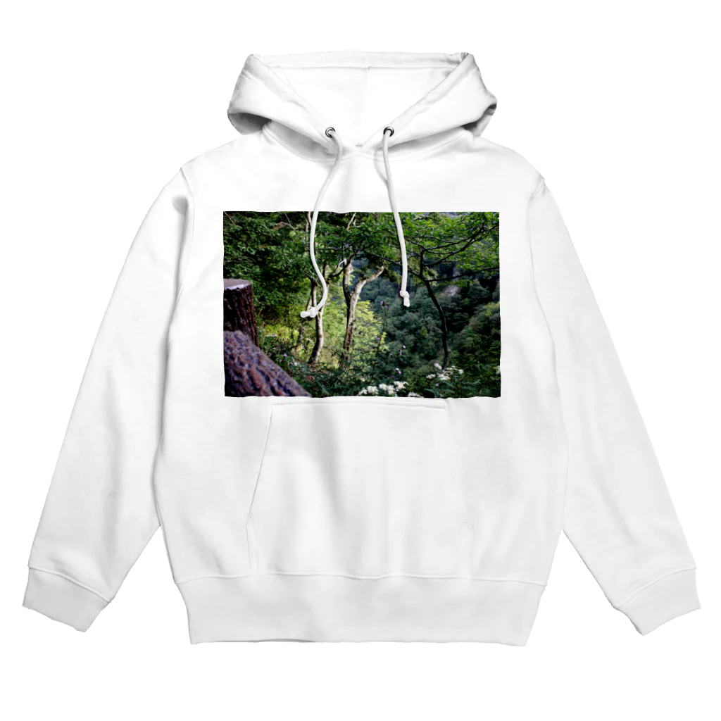 RyoY_ArtWorks_Galleryの傾斜に咲き誇る花 Hoodie