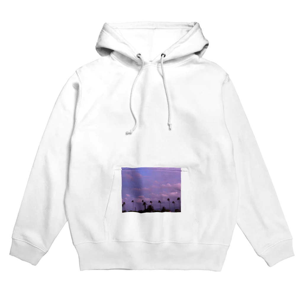 玉手箱の南国の冬空 Hoodie