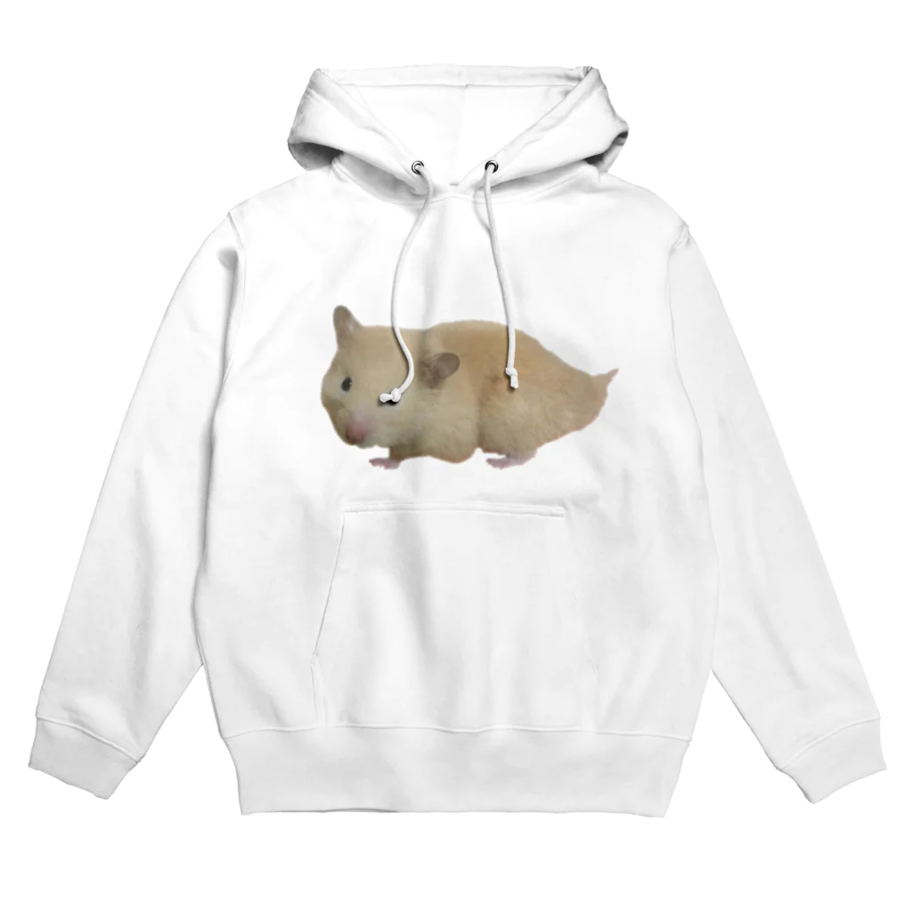 ぴ_なぉのバムズダー Hoodie