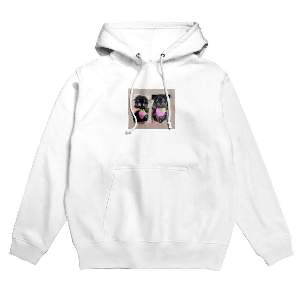 キャンドルドックの可愛いブラックタン兄弟 Hoodie