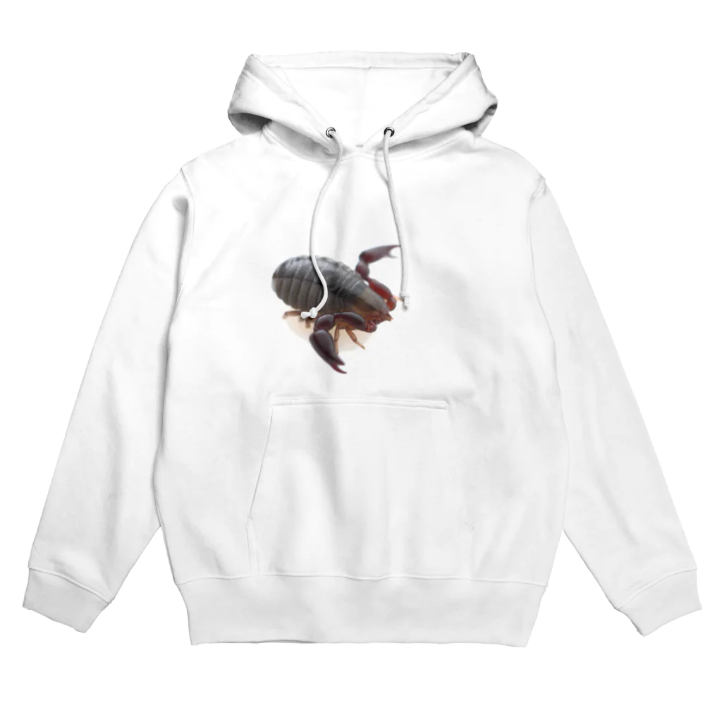 ジークのメクラカニムシ科の一種 Hoodie