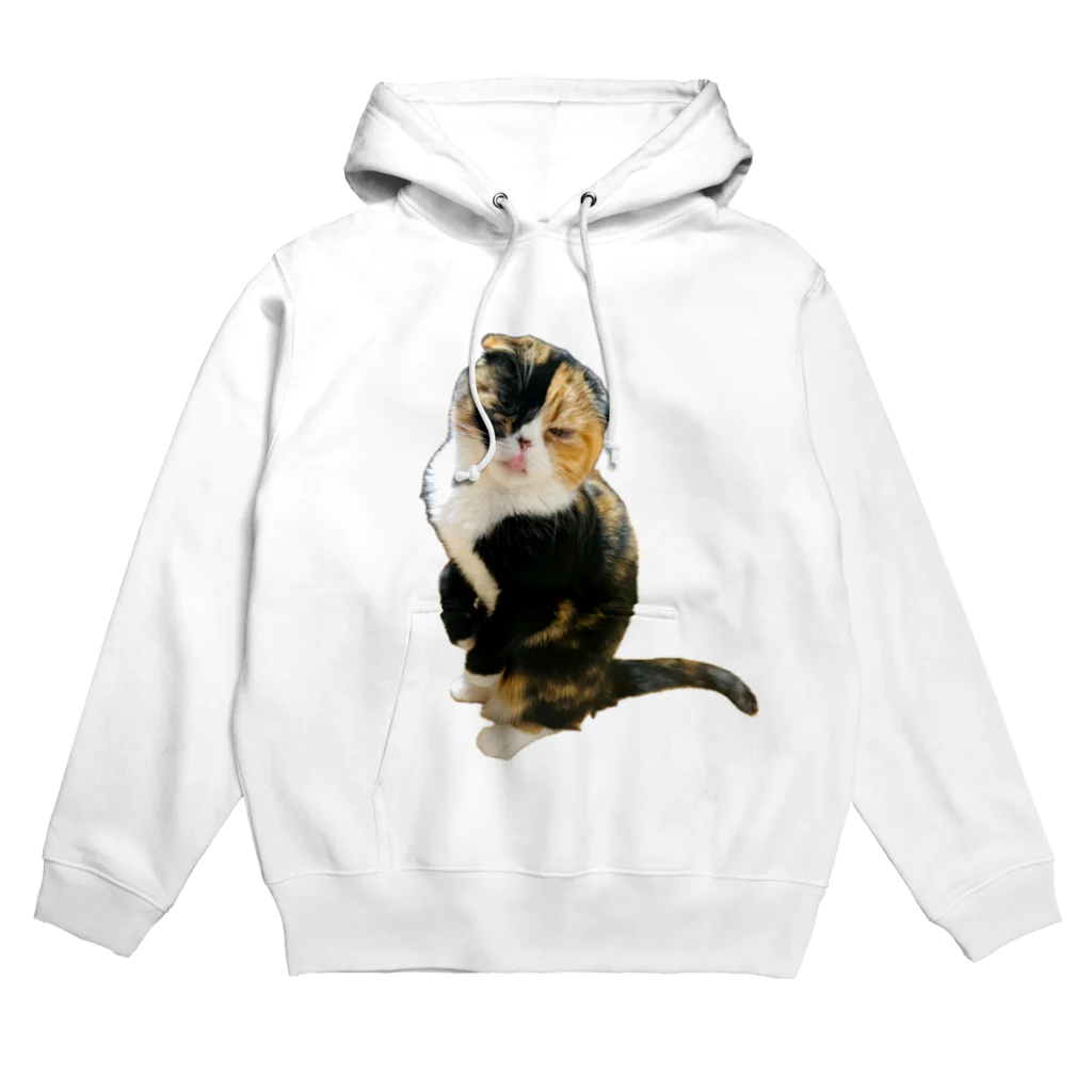 林知佳✈️旅する複業占い師🌺のブサカワの愛猫激写 Hoodie