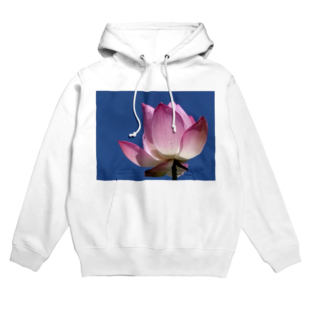 華の青空に蓮 Hoodie