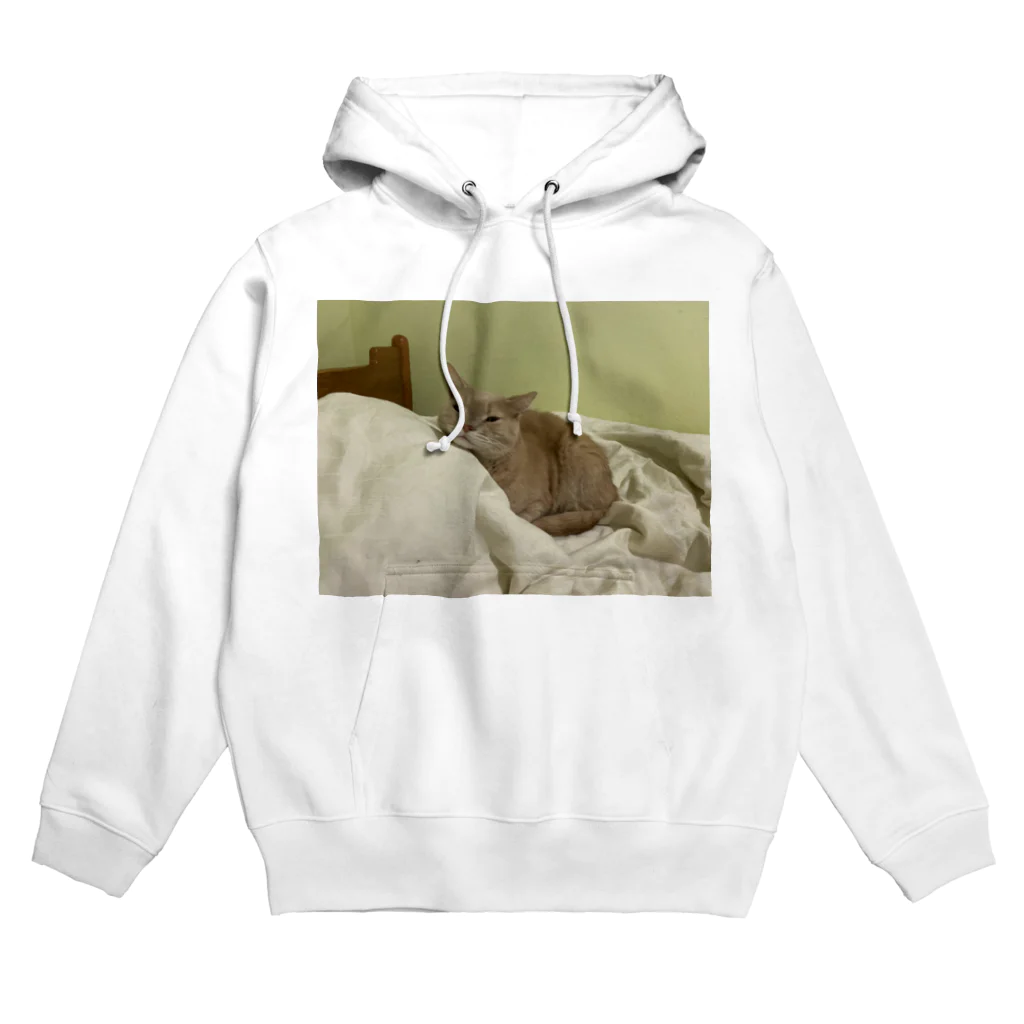 ねこかわたすかるのねこかわたすかる8 Hoodie