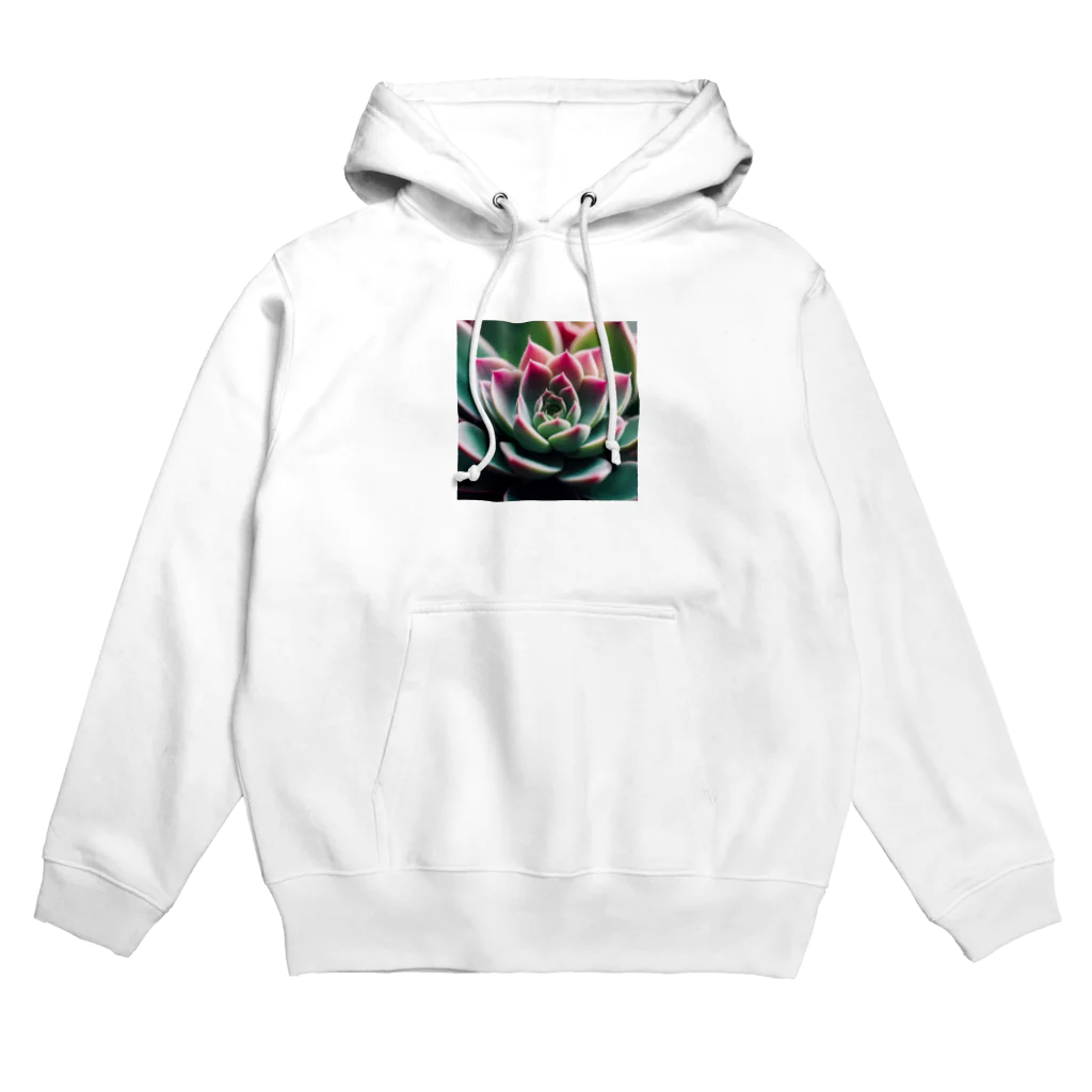 maroramu04のエケベリア２ Hoodie