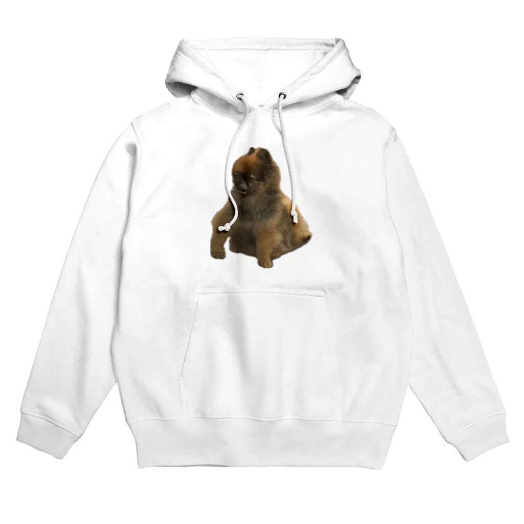 ファンタスティックおでんのちゃい（プロトタイプ） Hoodie