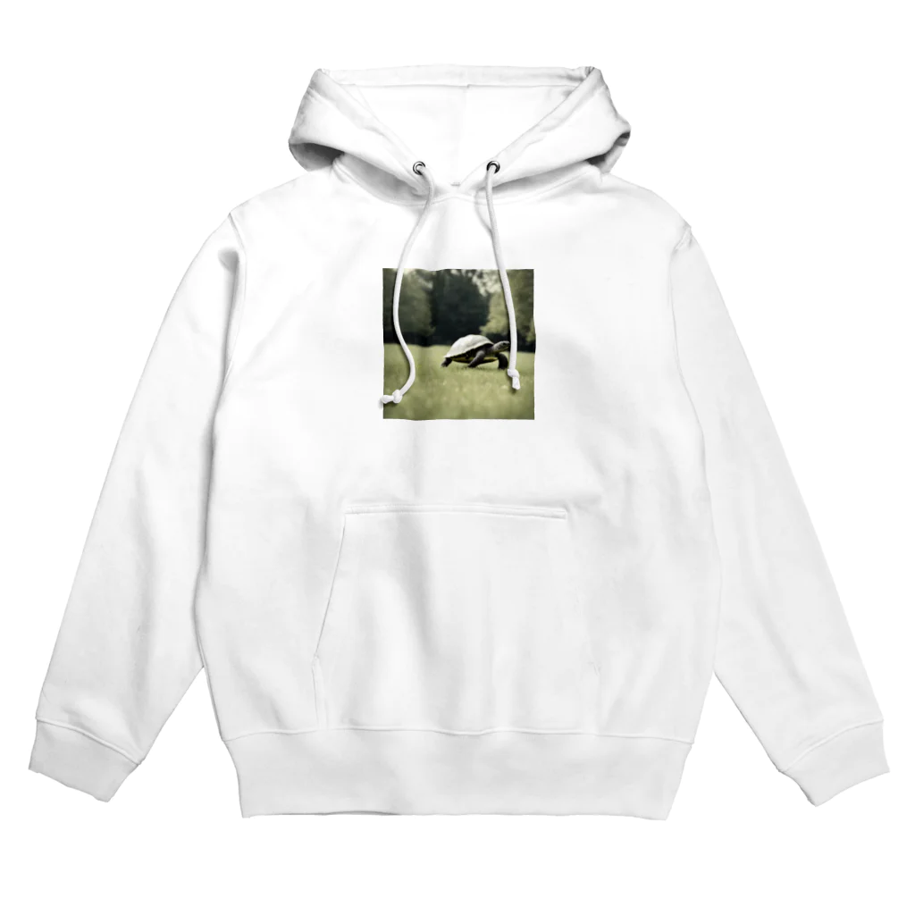 hinn-ketuの４、カメのお散歩 Hoodie