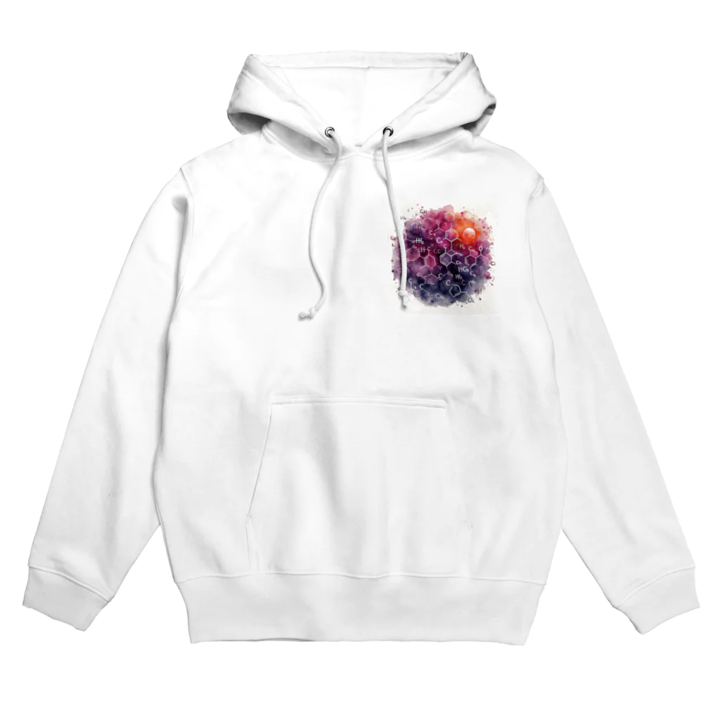 science closet（科学×ファッション）の惑星の化学反応式 Hoodie