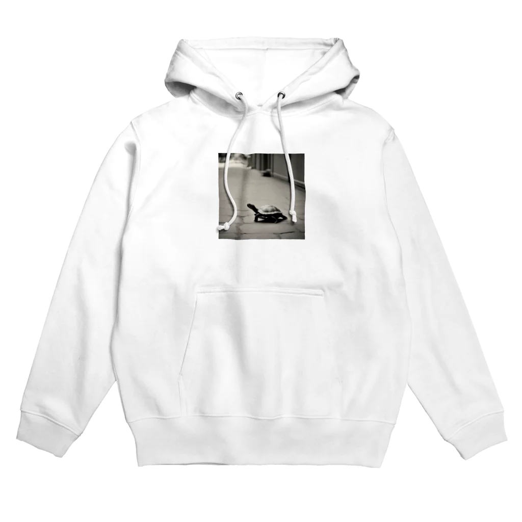 hinn-ketuの５、どこかの街で出会ったカメ Hoodie