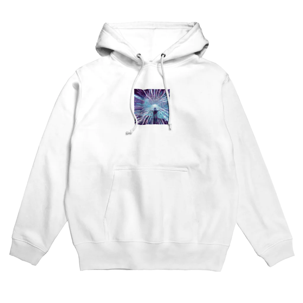 weblab100のメタバースへの入り口 Hoodie