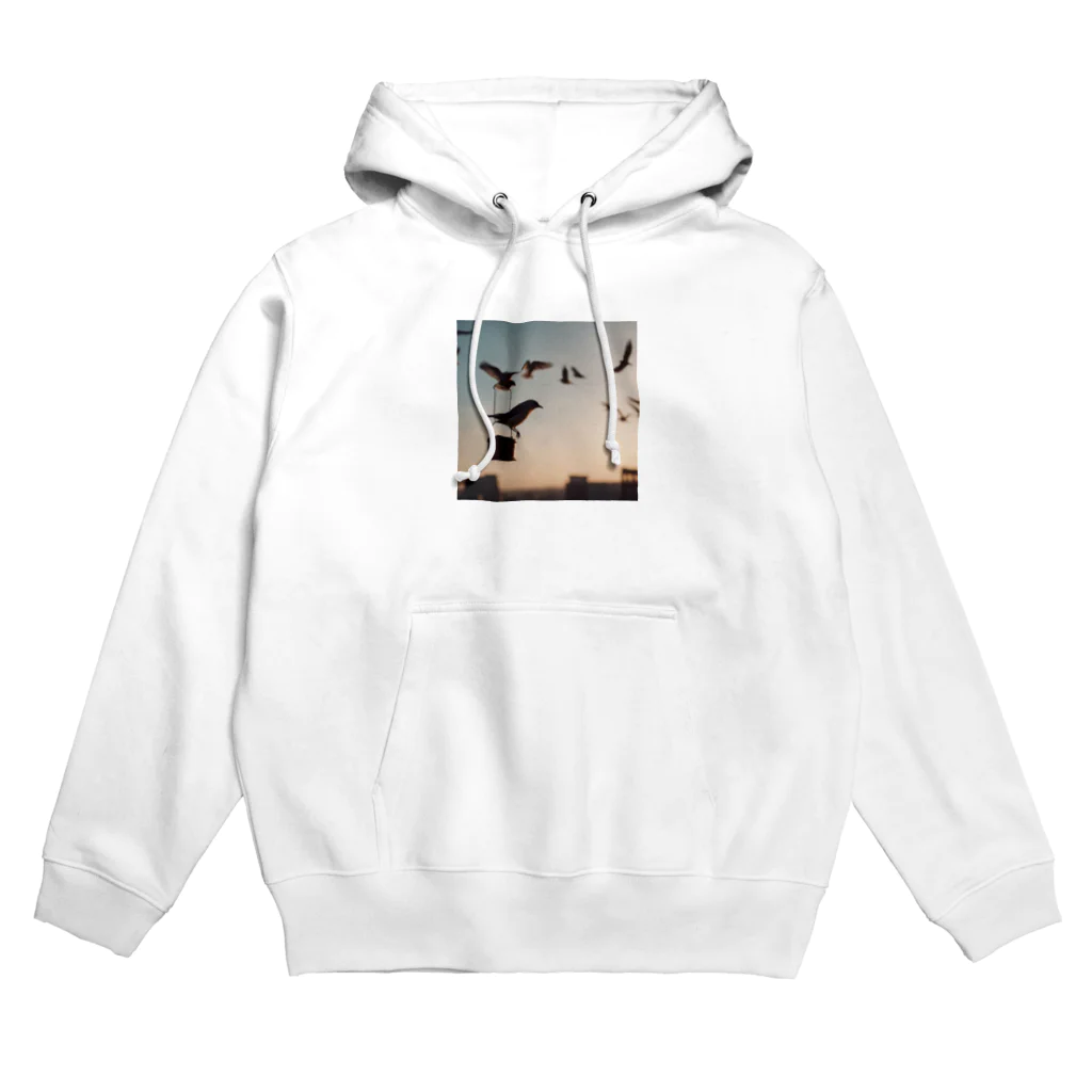 simaenaga234の夕方の鳥 Hoodie