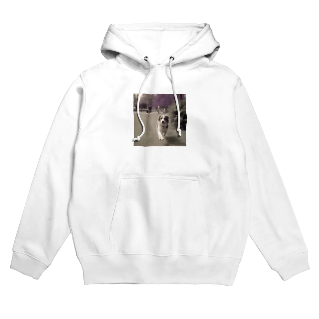 _ryosuke_tvの愛犬 Hoodie