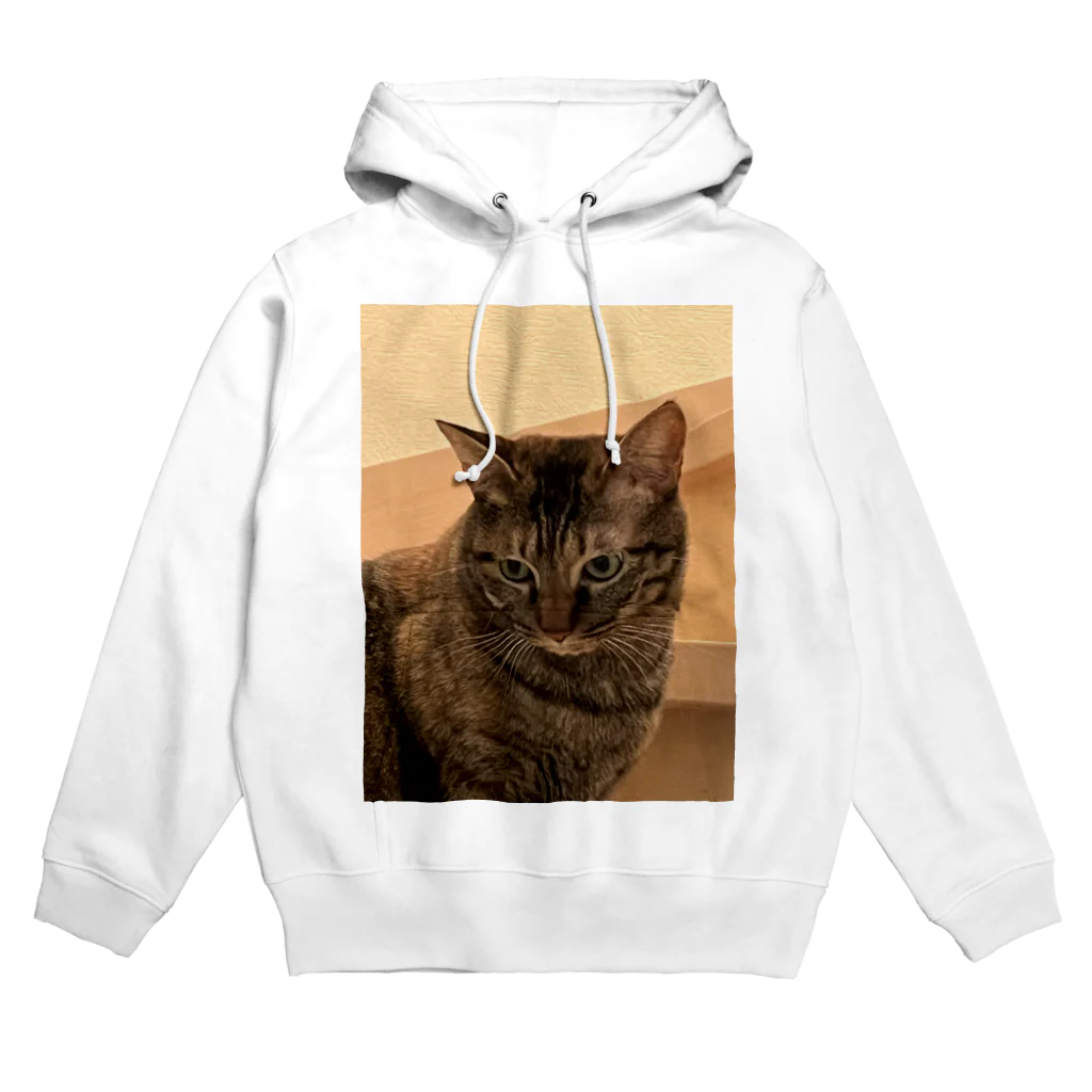 キキの黒猫ショップのツンデレキジトラ猫 Hoodie