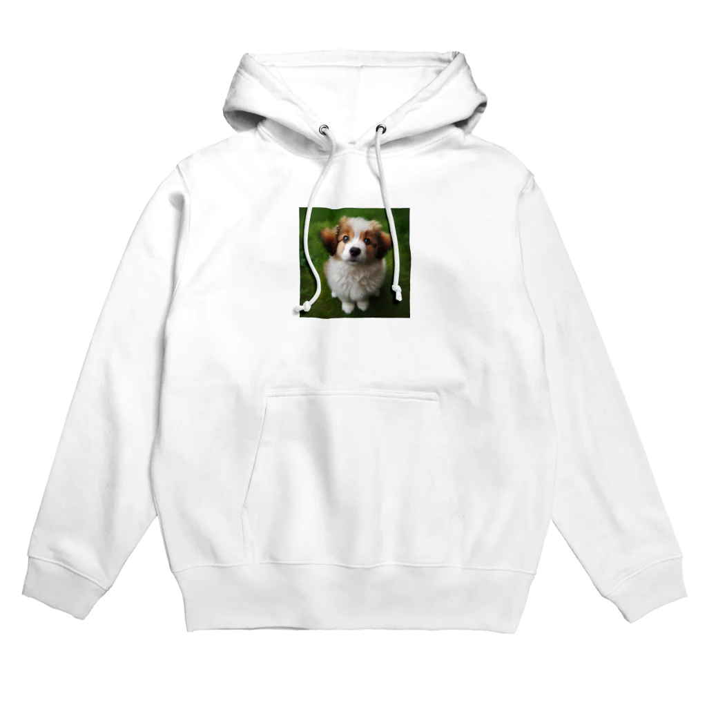 kotarou_92のウルウルがキュートな犬 Hoodie