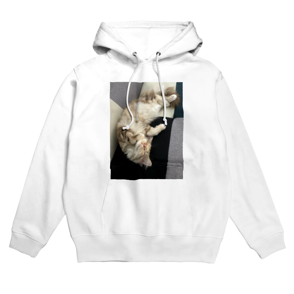 吾輩はベルである。ショップの福猫ベルちゃんの開運グッズ Hoodie