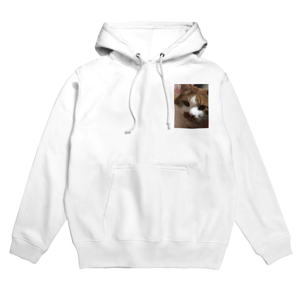 姫子の不機嫌な猫 Hoodie