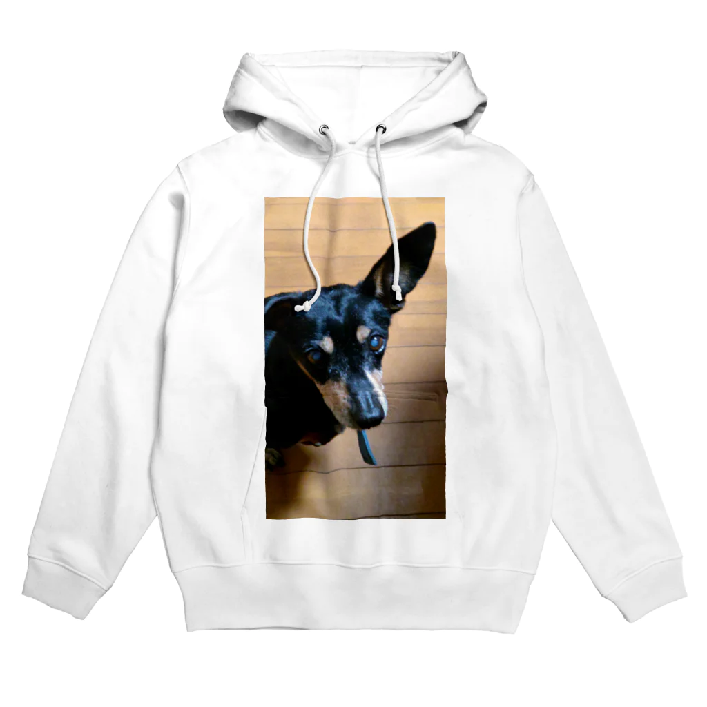 watama33の左耳立犬 Hoodie