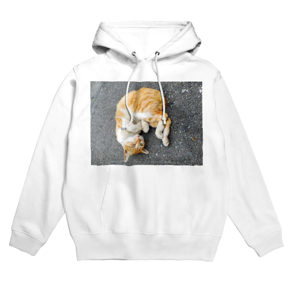 おのあきおの丸まり猫 Hoodie