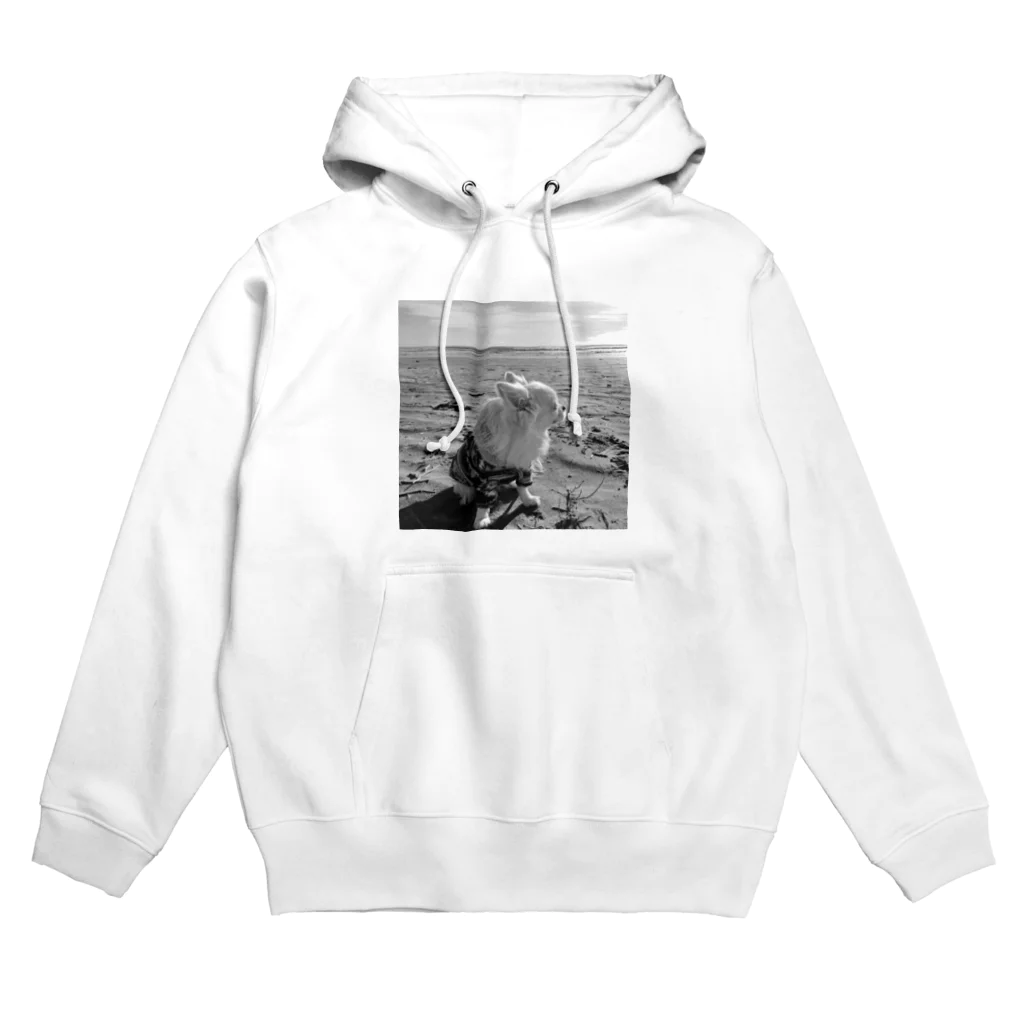 T_O-N_OのTONO-Coast2 Hoodie