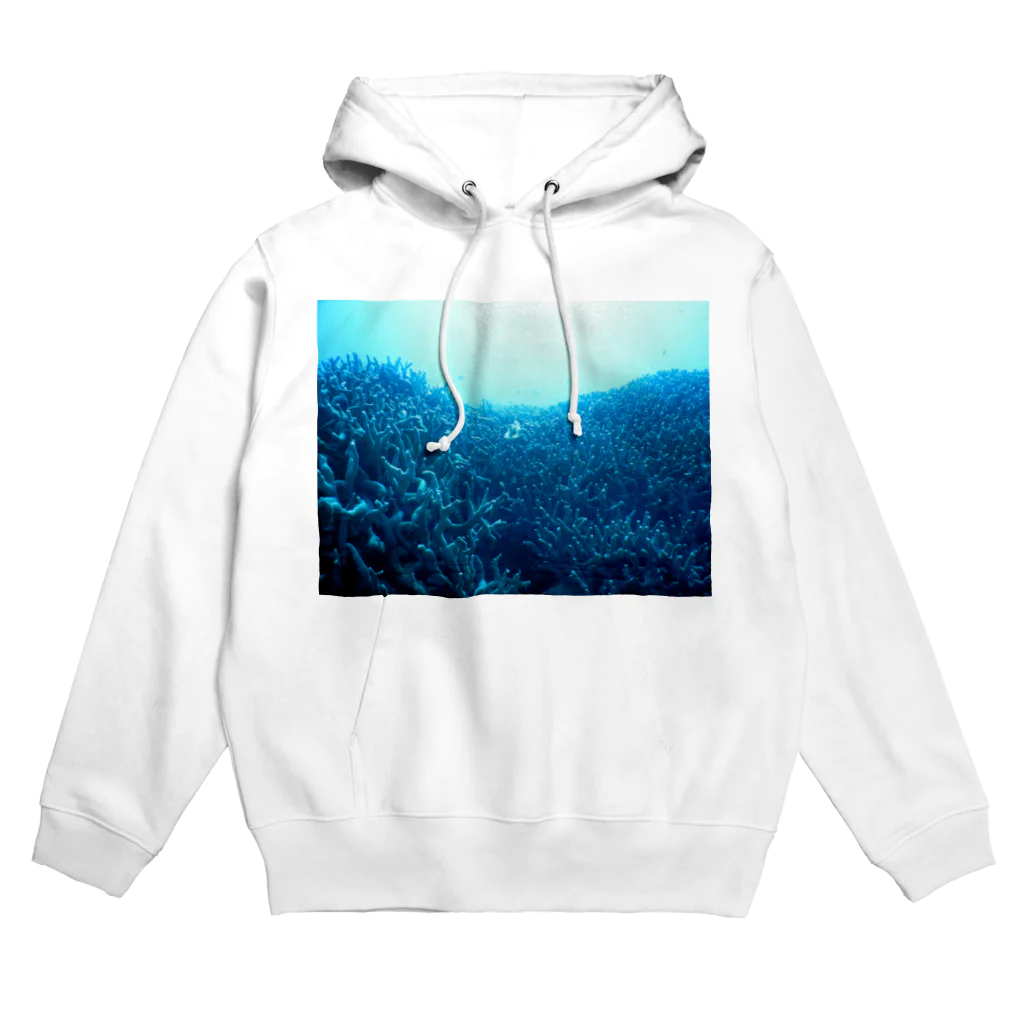 umin0nakaの青い珊瑚礁 Hoodie