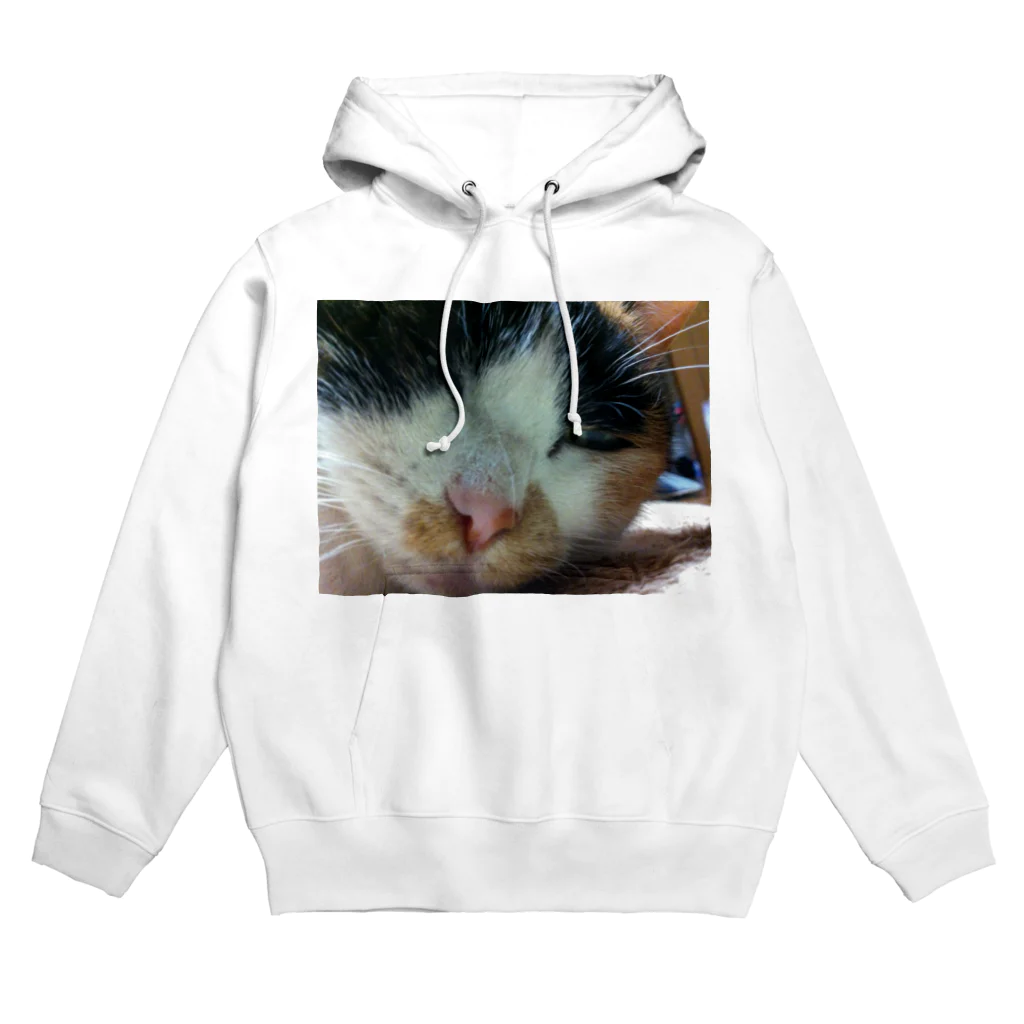 fashion-sametarouのミーちゃん2 Hoodie