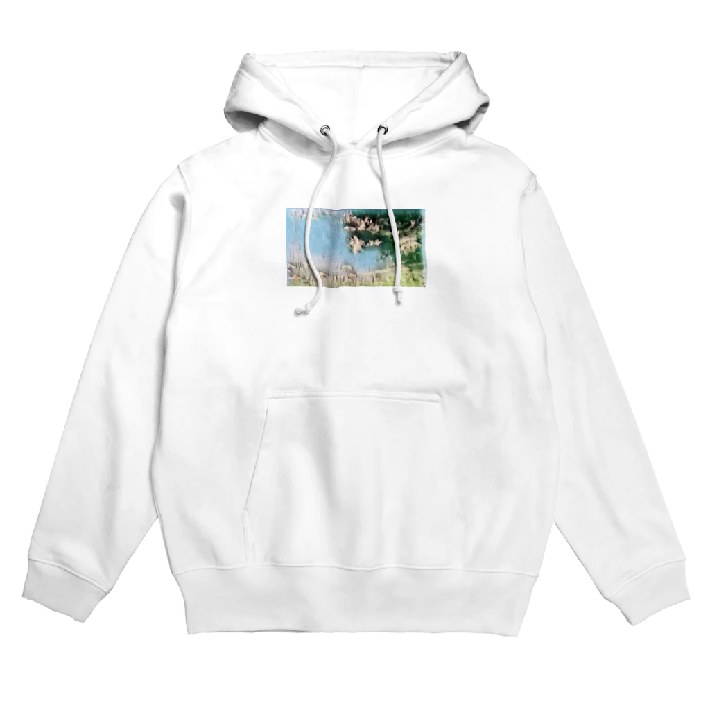 Try Anythingの秘境シリーズ Hoodie