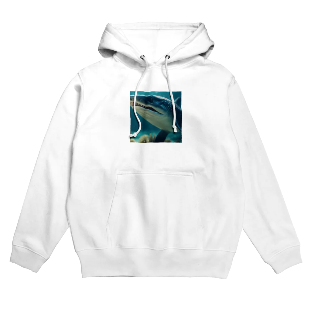 KOKAKORAのイクチオサウルス Hoodie