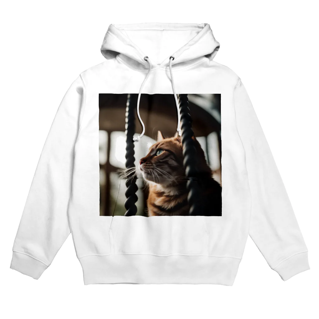 feliceのタワーに登っている猫 Hoodie