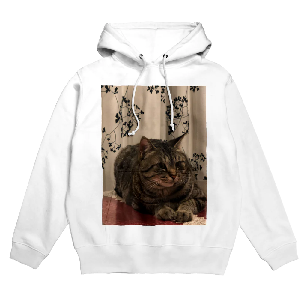 まゆのあかりの私の家族1 Hoodie