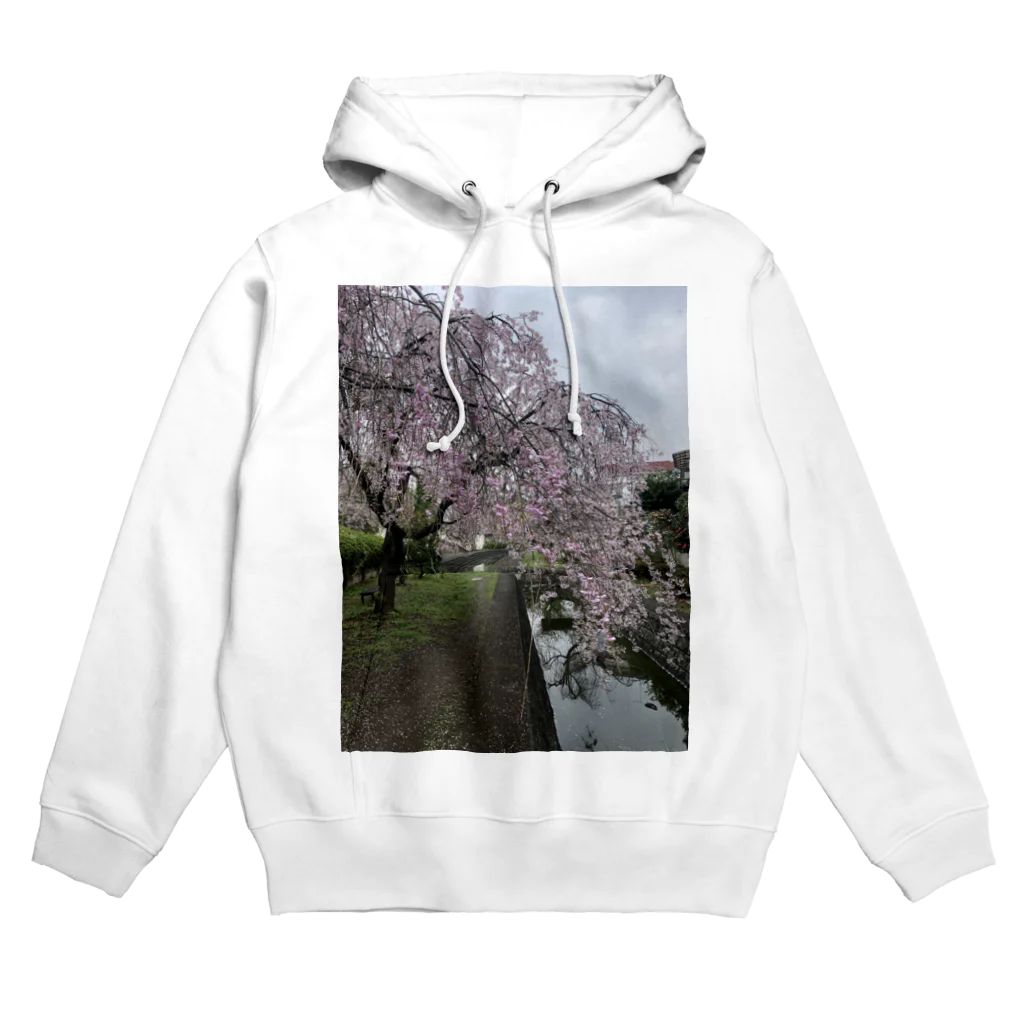 saitama-eit88の川桜 Hoodie