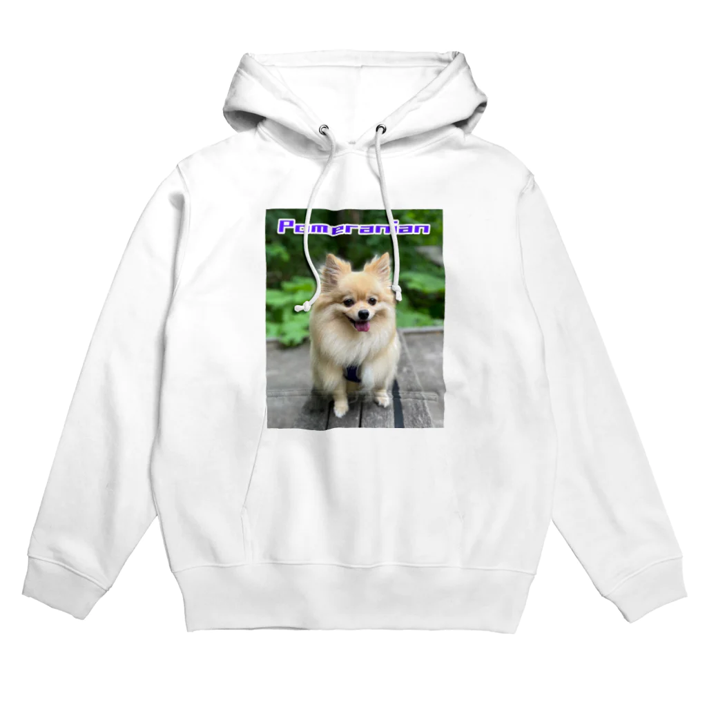 もふもふポメ　のもふもふポメ Hoodie